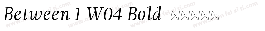 Between 1 W04 Bold字体转换